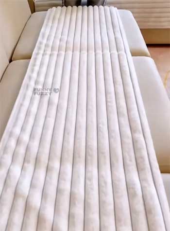 Funny Fuzzy Couch Cover
