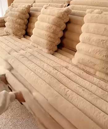 Funny Fuzzy Couch Cover