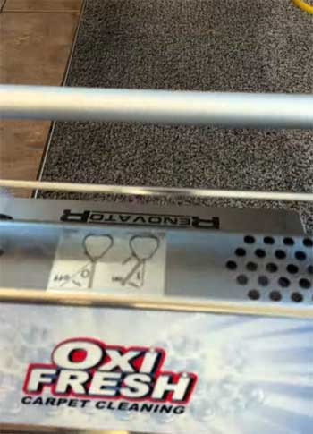 Oxi Fresh Carpet Cleaner