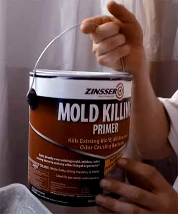 Zinsser Mold Killing Primer