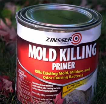 Zinsser Mold Killing Primer