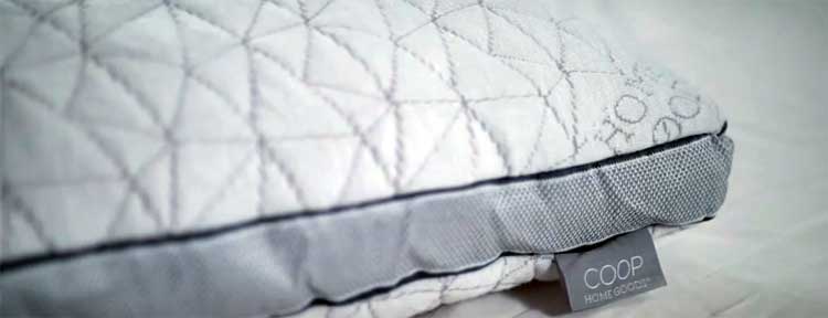 Coop Home Goods Eden Pillow
