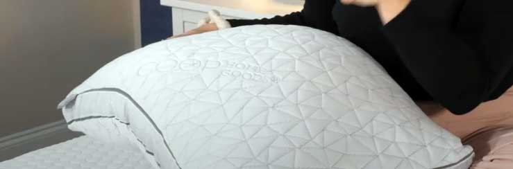 Coop Home Goods Eden Pillow