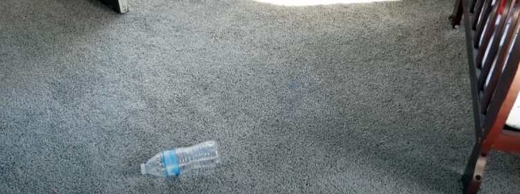 Lowe's Carpet Installation