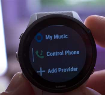 Garmin Forerunner 255