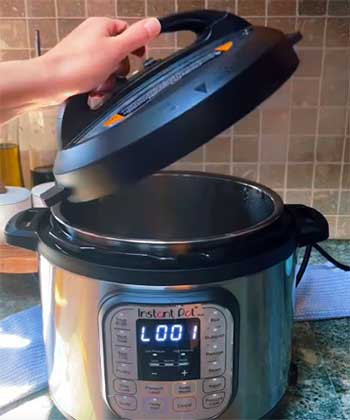 Instant Pot Duo
