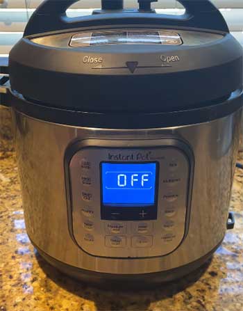 Instant Pot Duo