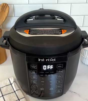 Instant Pot Rio