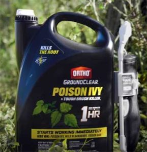 Ortho Vs. Roundup: A Gardener’s Guide To Choosing The Right Weed Killer