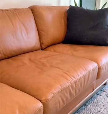 Poly & Bark Sofa