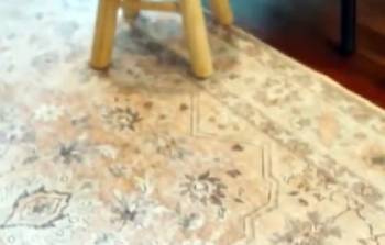 Tumble Washable Rug