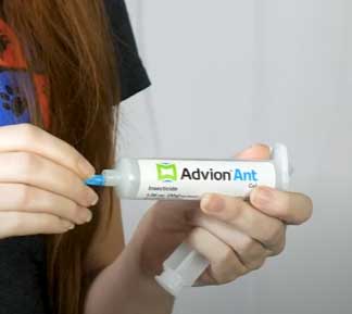 Advion Ant Bait Gel