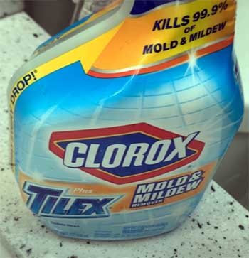 Clorox Mold & Mildew Remover