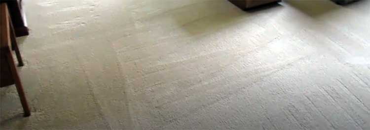 LifeProof Carpet