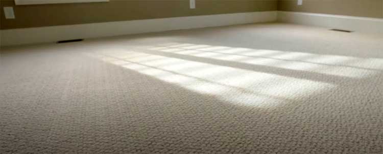 LifeProof Carpet