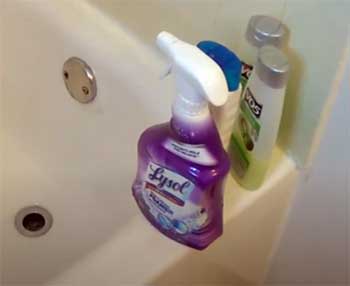 Lysol Mold & Mildew Remover