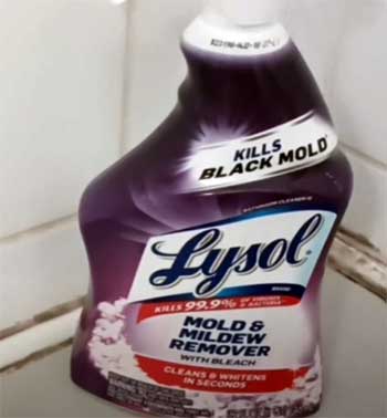 Lysol Mold & Mildew Remover