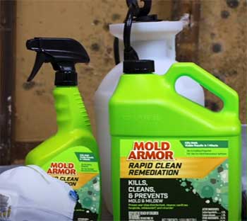 Mold Armor Rapid Clean Remediation