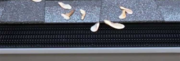 RainDrop Gutter Guard