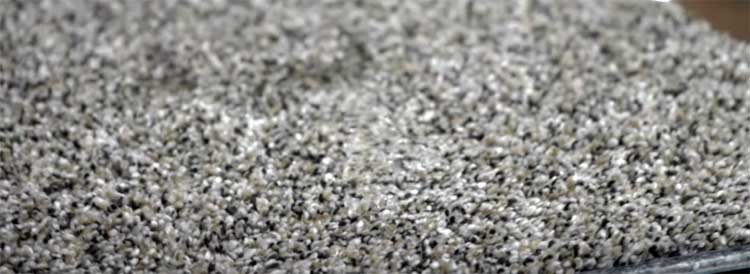 Shaw Pet Perfect Carpet
