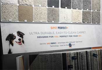 Shaw Pet Perfect Carpet