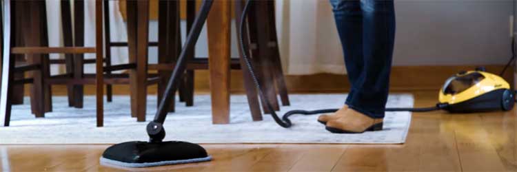Wagner 925e Steam Cleaner