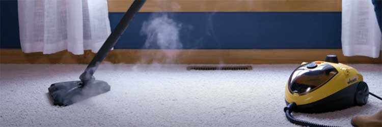 Wagner 925e Steam Cleaner