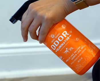 Angry Orange Pet Odor Eliminator
