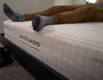 Avocado Eco Organic Mattress