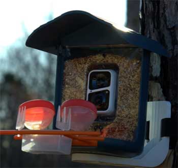 BirdSnap Smart Bird Feeder
