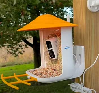 BirdSnap Smart Bird Feeder