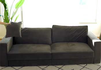Coddle Switch Sleeper Sofa