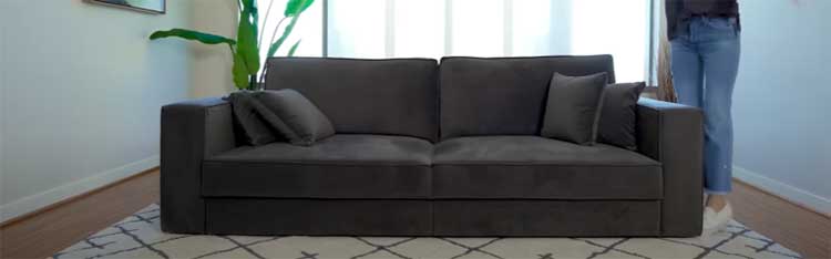 Coddle Switch Sleeper Sofa