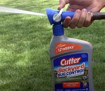 Cutter Backyard Bug Control