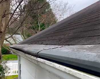 Gutter Helmet