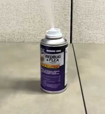 Hot Shot Bed Bug Killer