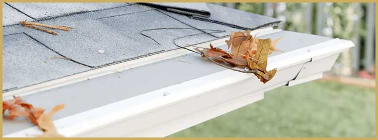 LeafFilter Gutter Protection