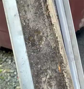 LeafFilter Gutter Protection