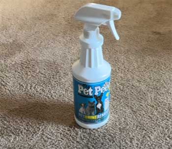My Pet Peed