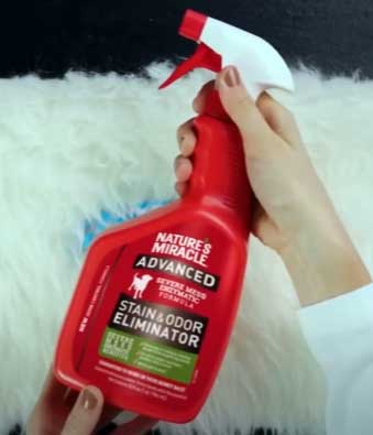 Nature's Miracle Stain and Odor Remover