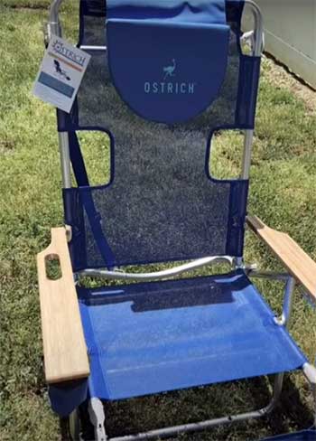 Ostrich 3-in-1 Lounge Chair