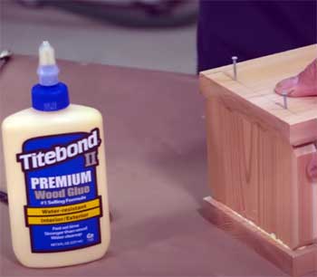 Titebond II Premium Wood Glue