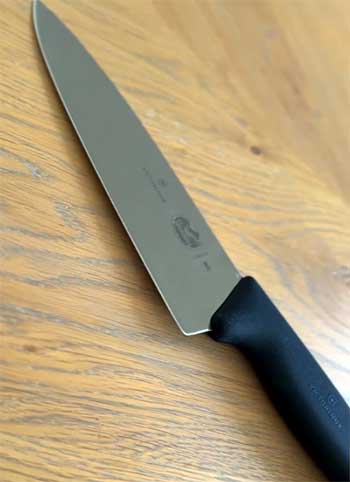 Victorinox Fibrox Pro