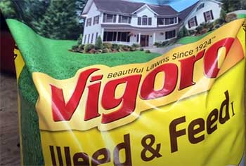 vigoro weed and feed