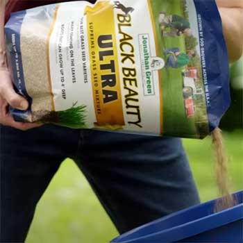 Black Beauty Ultra Grass Seed by Jonathan Green