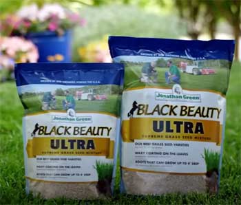 Black Beauty Ultra Grass Seed by Jonathan Green