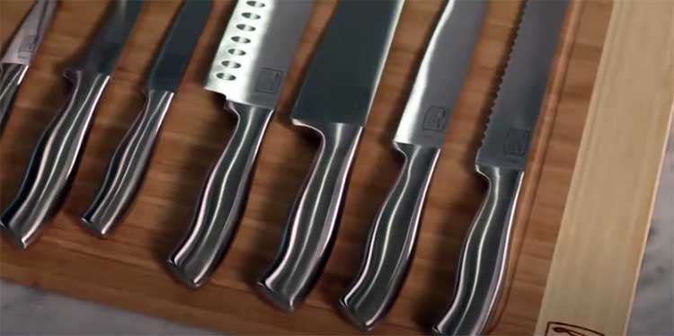 Chicago Cutlery Insignia set