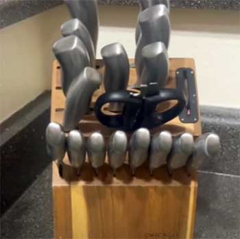Chicago Cutlery Insignia set
