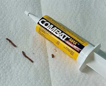 Combat Max Roach Killing Gel