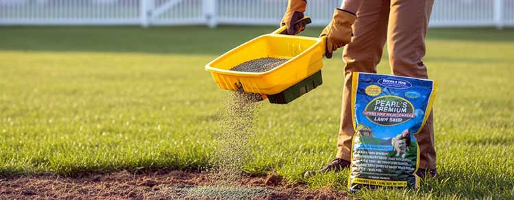 Pearl’s Premium Grass Seed